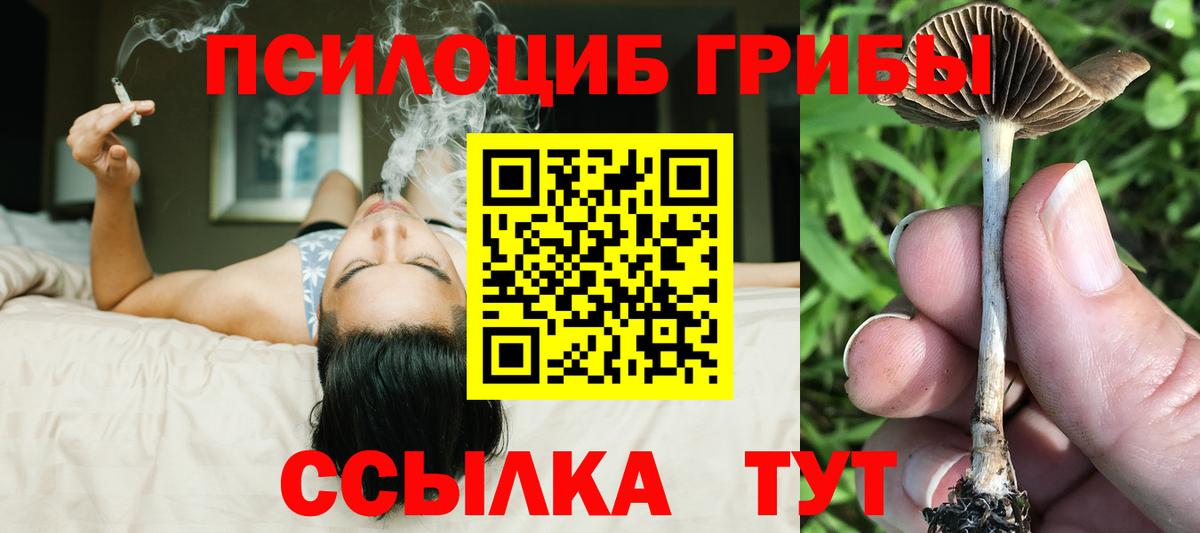 Псилоцибиновые грибы MAGIC MUSHROOMS Соль-Илецк