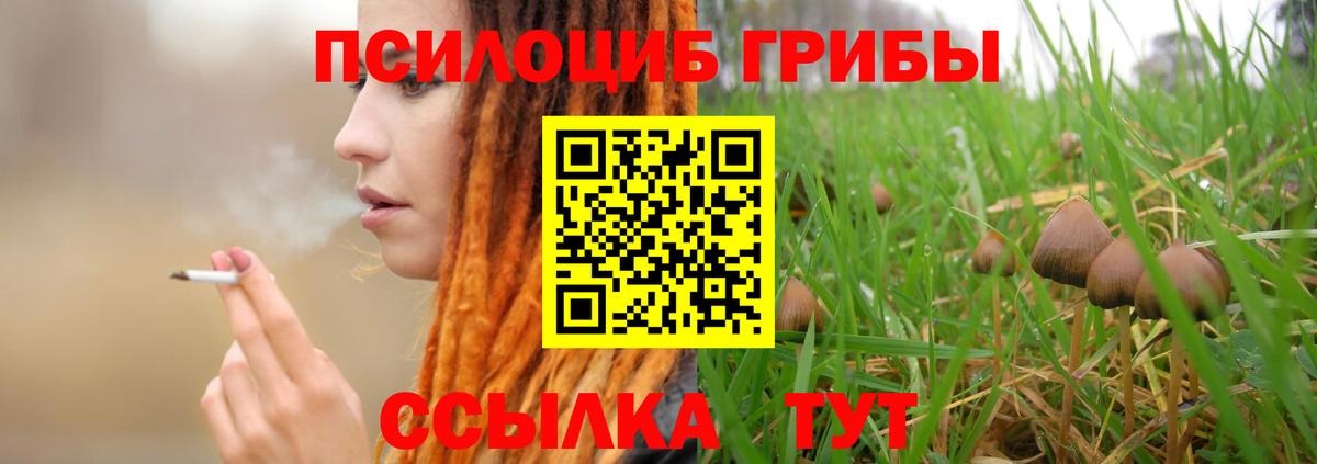 Псилоцибиновые грибы Cubensis  Псилоцибиновые грибы Psilocybine cubensis  Вход с VPN  Соль-Илецк 