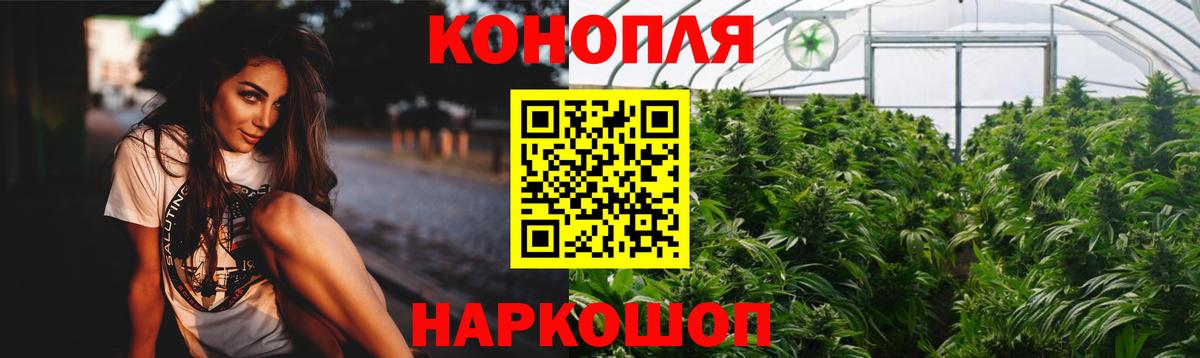 Каннабис MAZAR  Конопля сатива  МАРИХУАНА семена  Вход с VPN  Соль-Илецк 